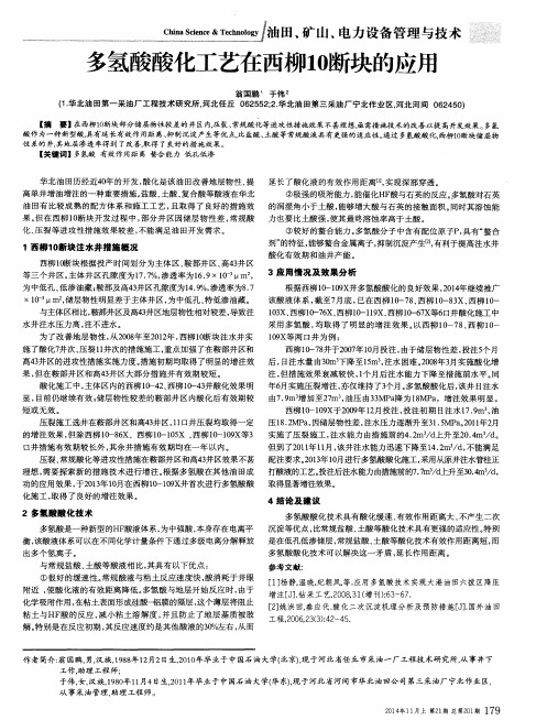 多氢酸酸化工艺在西柳10断块的应用