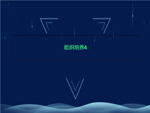 组织培养4