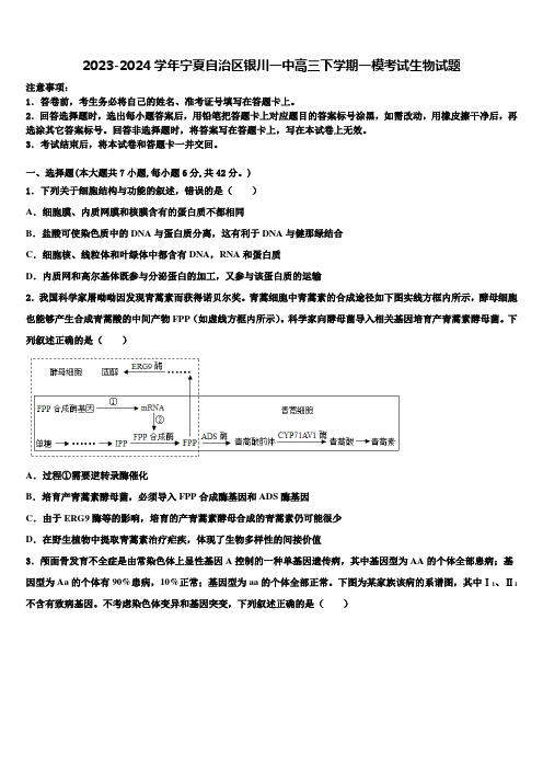 2023-2024学年宁夏自治区银川一中高三下学期一模考试生物试题含解析