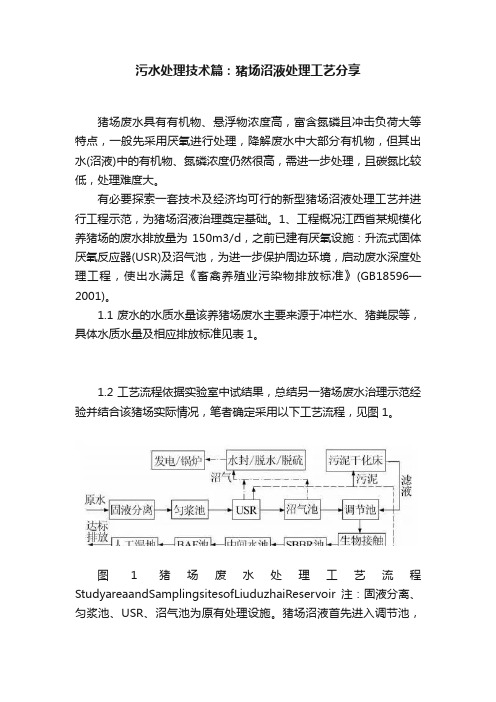 污水处理技术篇：猪场沼液处理工艺分享