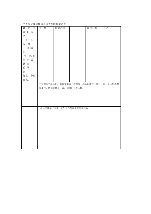 个人岗位廉政风险点自查及防控承诺表