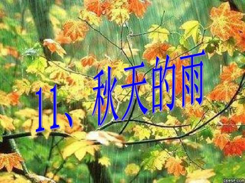 人教版三年级语文上册11《秋天的雨》ppt