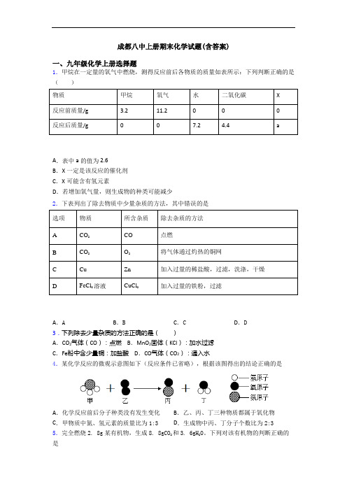 成都八中初三化学上册期末化学试题(含答案)