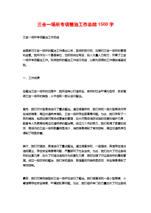 三合一场所专项整治工作总结2