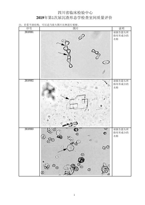 2019年第1次尿沉渣形态学检查室间质量评价图片