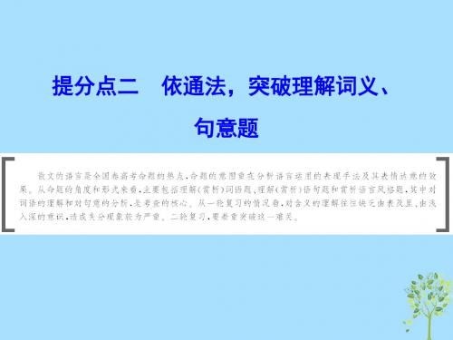 2019年高考语文大二轮复习第三章散文阅读提分点二依通法突破理解词义句意题课件20181215281