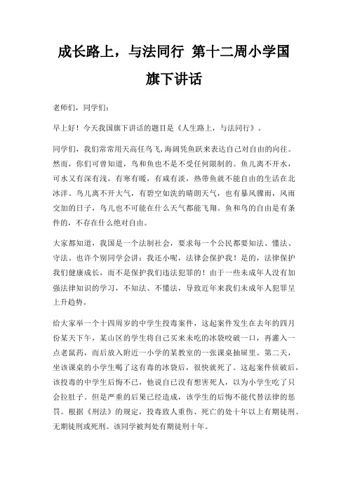 成长路上,与法同行 第十二周小学国旗下讲话三篇