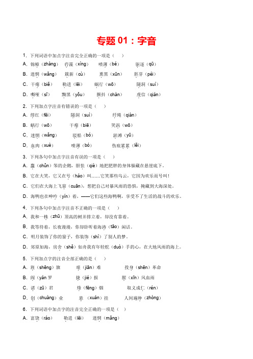 专题01：字音-2021-2022学年九年级语文上学期期末专项复习(部编版)