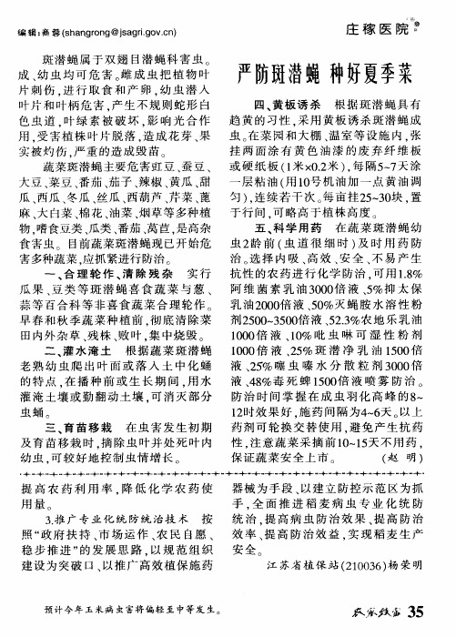 严防斑潜蝇 种好夏季菜