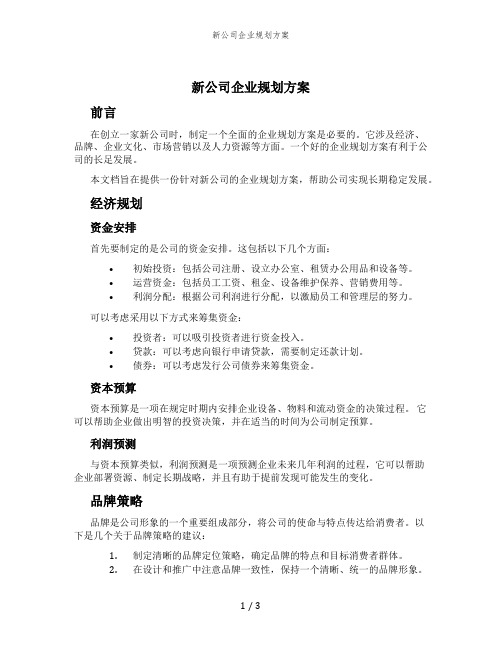 新公司企业规划方案