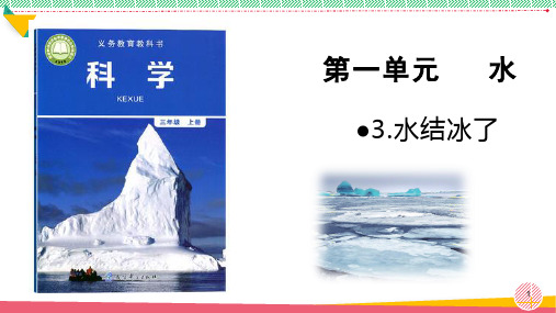 小学科学《水结冰了》优质课件