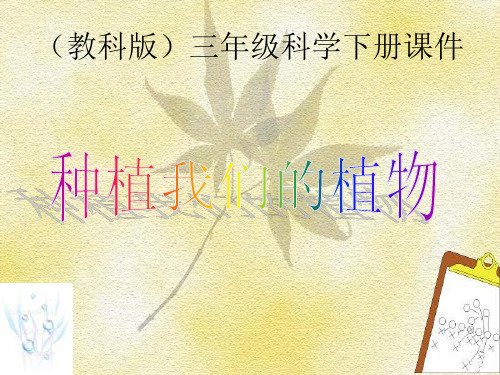 教科版三年级科学下册全套课件