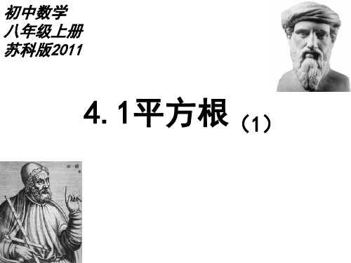 苏科版数学八年级上册平方根 课件 PPT精品课件