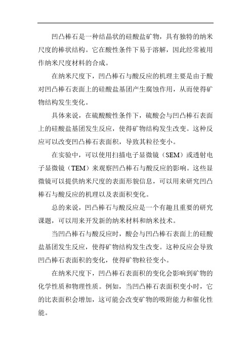 凹凸棒石与酸反应纳米尺度研究——反应机理和表面积变化