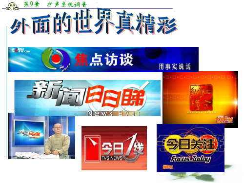 高二语文课件:时评两篇3 (粤教必修4)