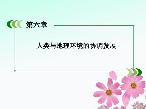 高中地理 6-2中国的可持续发展实践课件 新人教版必修2