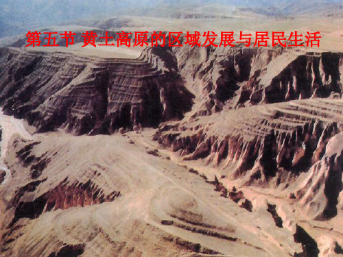 《第五节 黄土高原的区域发展与居民生活》课件3