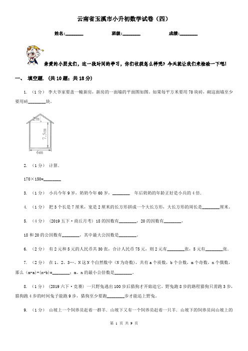 云南省玉溪市小升初数学试卷(四)