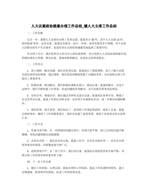 人大议案政协提案办理工作总结_镇人大主席工作总结