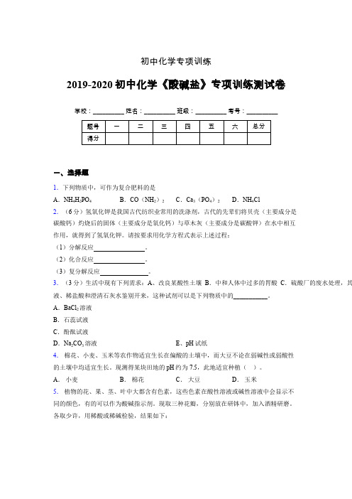 2019-2020学年初中化学《酸碱盐》专项训练模拟测试(含答案) (300)