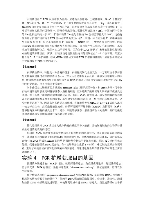 分子生物学实验