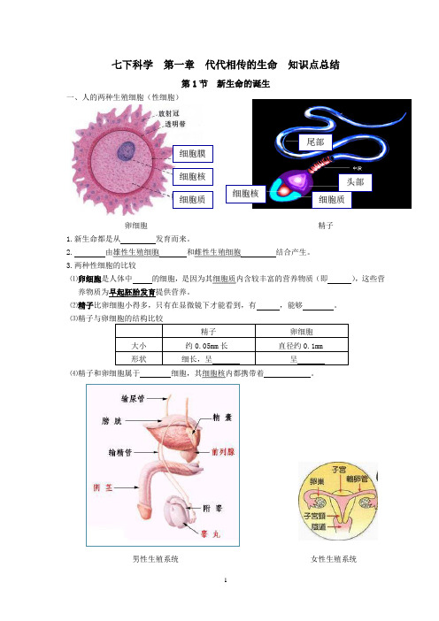 七下科学  第一章  代代相传的生命  知识点总结(已校正)