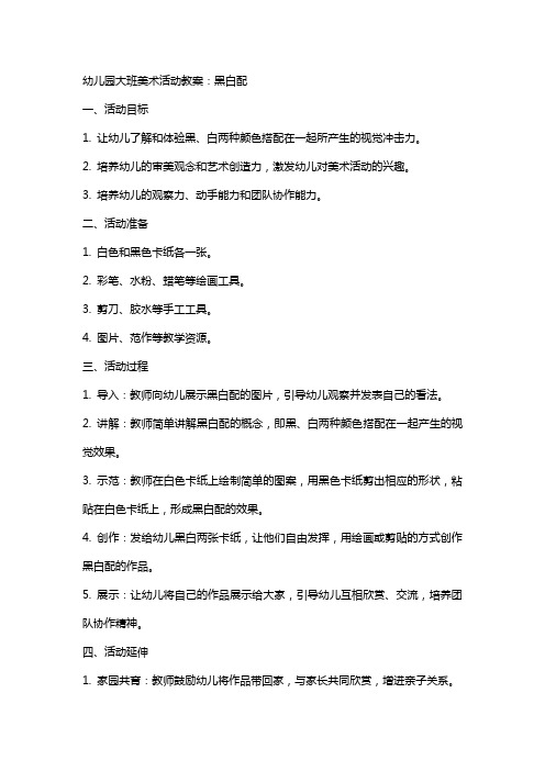 幼儿园大班美术活动教案:黑白配