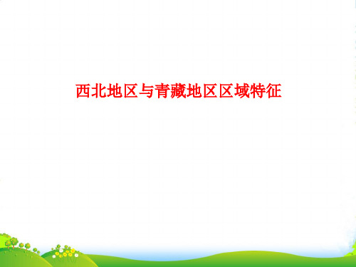 江苏省高三地理复习 模块4 第2章 第2课 中国的地理差异(2)课件 鲁教