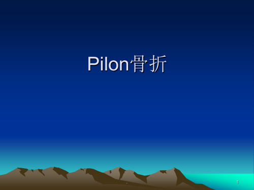 Pilon骨折ppt演示课件