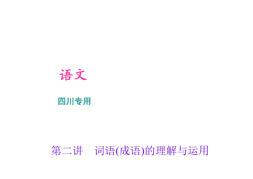 成都市中考语文总复习-第二讲：词语(成语)的理解与运用