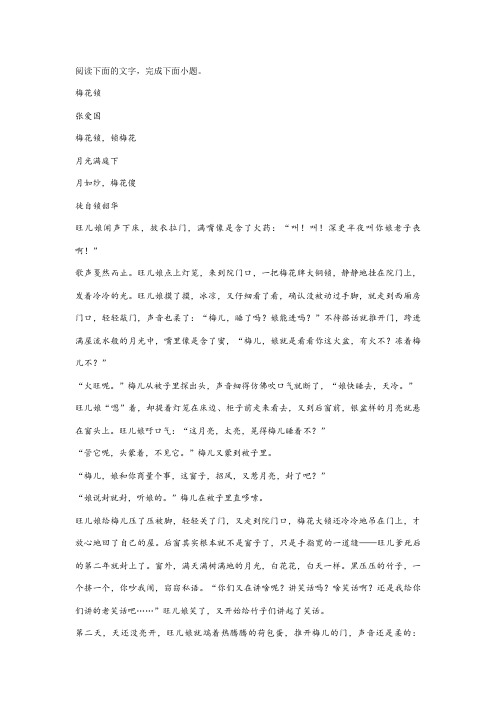 张爱国《梅花锁》阅读练习及答案