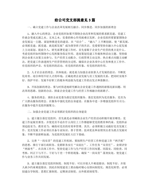 给公司党支部提意见3篇