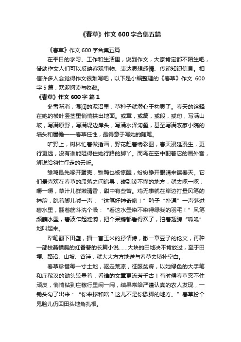 《春草》作文600字合集五篇