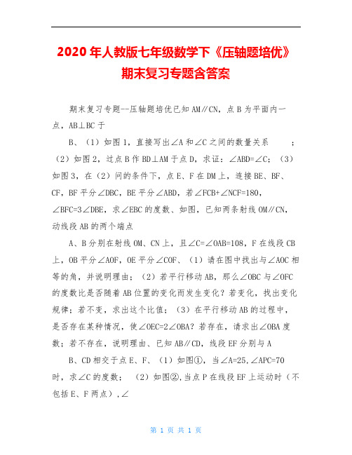 2020年人教版七年级数学下《压轴题培优》期末复习专题含答案