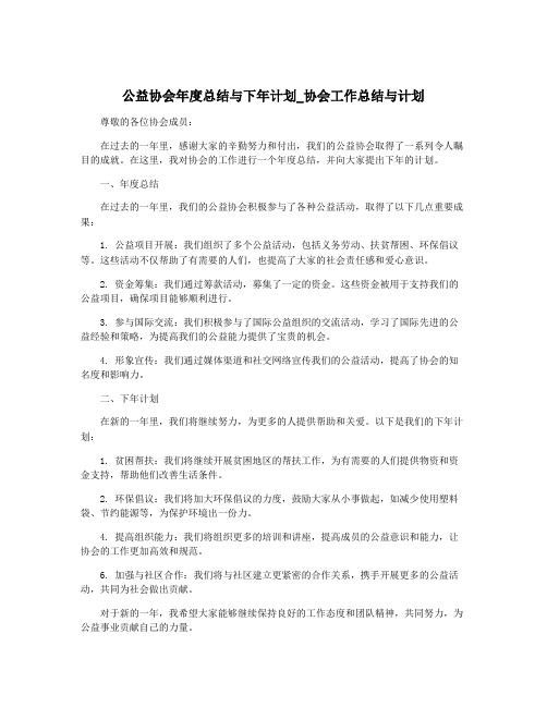 公益协会年度总结与下年计划_协会工作总结与计划