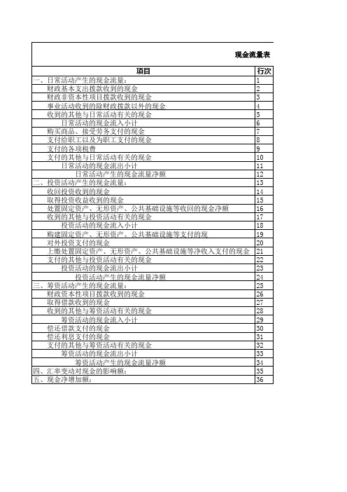 现金流量表(空表)