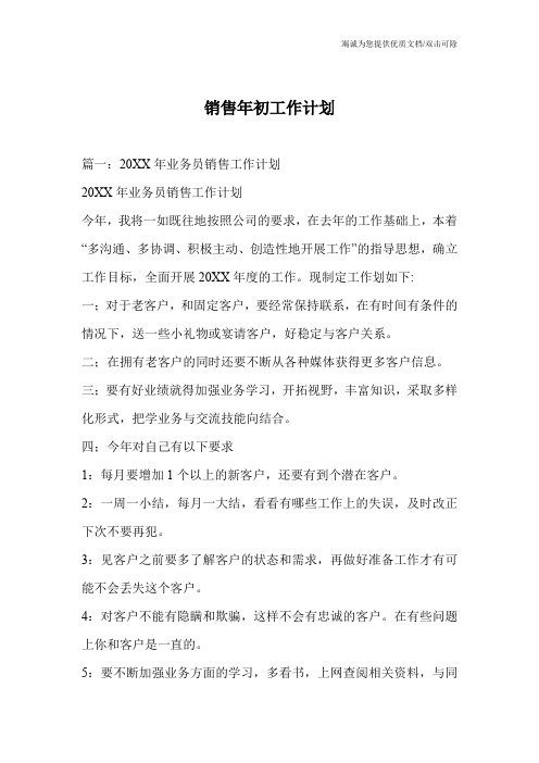 销售年初工作计划