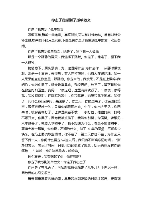 你走了我感到了孤单散文