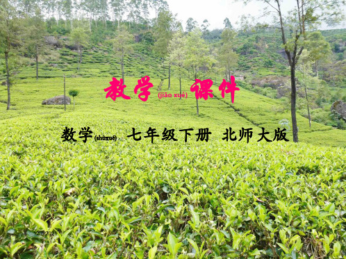 七年级数学下册 第三章 变量之间的关系 1 用表格表示的变量间关系教学课件