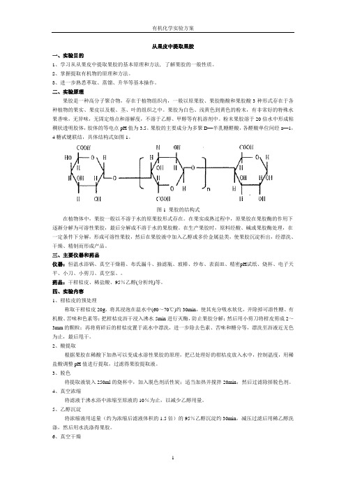 实验三-从果皮中提取果胶