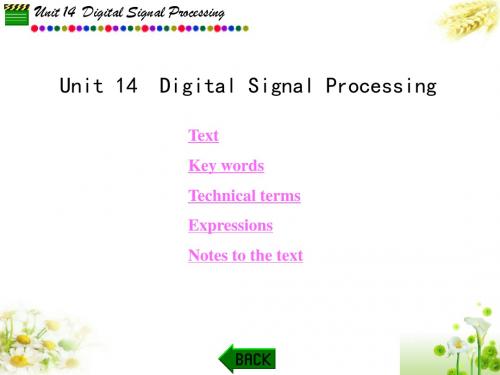 电子信息类专业英语Unit 14  Digital Signal Processing-PPT精品文档