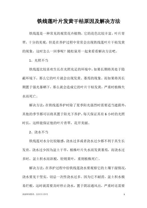 铁线莲叶片发黄干枯原因及解决方法