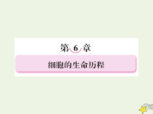 高中生物第六章细胞的生命历程1细胞的增殖课件新人教版必修