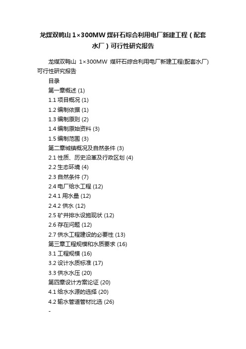 龙煤双鸭山1×300MW煤矸石综合利用电厂新建工程（配套水厂）可行性研究报告