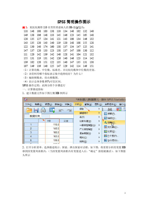 SPSS简明操作图示  教学用题