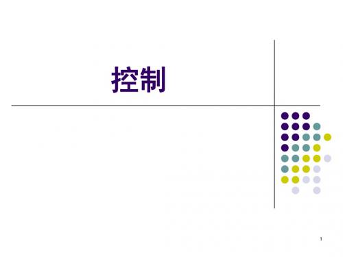 17控制与控制过程