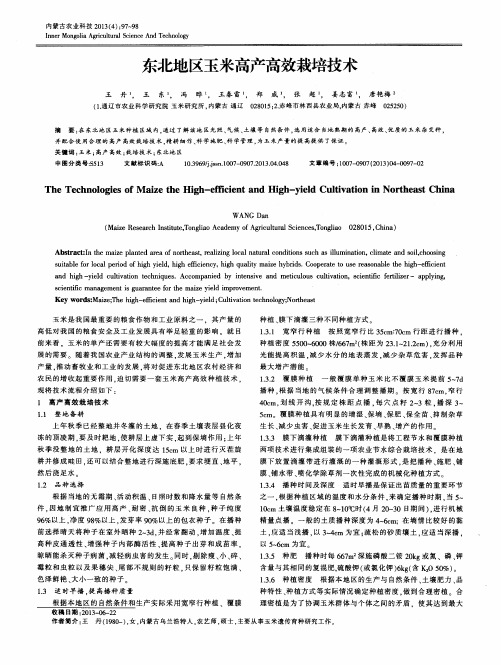 东北地区玉米高产高效栽培技术