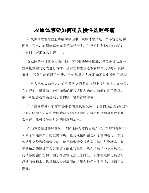 衣原体感染如何引发慢性盆腔疼痛