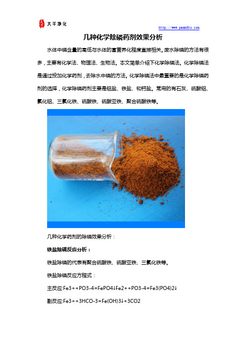 几种化学除磷药剂效果分析