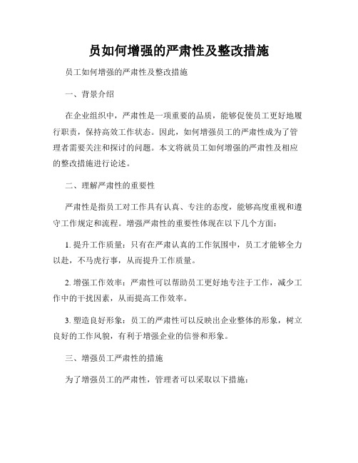 员如何增强的严肃性及整改措施